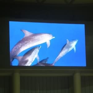 三防产品在上海体操中心LED显示屏中的应用 三防